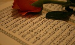 تجوید پیشرفته قرآن کریم؛ قواعد تطبیقی و نوآوری‌های مؤثر